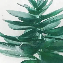 Cactus Green Plated Succulent