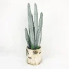 Cactus In White Ceramic Pot (60Cm)