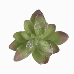 Cactus Succulent Clip Green/Silver Sml