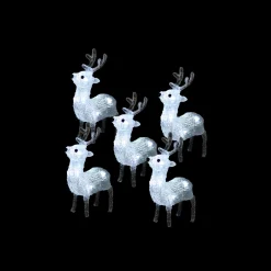 3D Acrylic Baby Reindeer Set (5Pc)