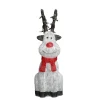 3D Acrylic Large Christmas Reindeer