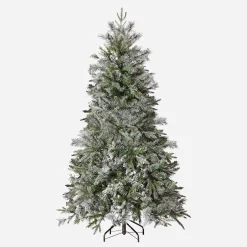 Fraser Fir Tree 6Ft (1.8M)