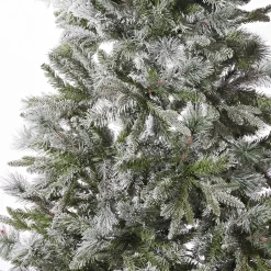Fraser Fir Tree 6Ft (1.8M)