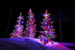 Led Fairy Lights Multi (20M)