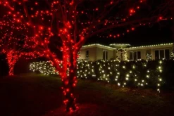 Led Fairy Lights Red (40M)