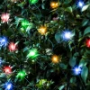 Led Multicoloured Net Light (2.4M)