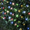 Led Solar Multicoloured Net Light (5X1.3M)
