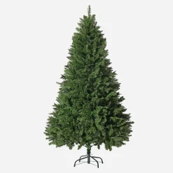 Radiata Pine 6Ft (1.8M)