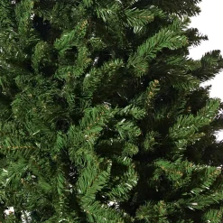 Radiata Pine 6Ft (1.8M)