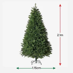 Radiata Pine Tree 7Ft (2.1M)