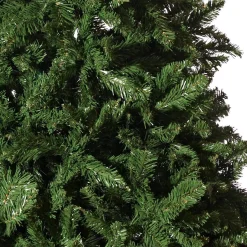 Radiata Pine Tree 7Ft (2.1M)