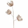 Rose Gold Queen Anne'S Lace Stem (65Cm)
