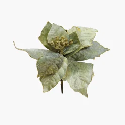 Sage Poinsettia With Clip (20Cm)