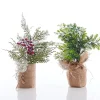 Snow Capped Tree With Burlap (31Cm) - Berries